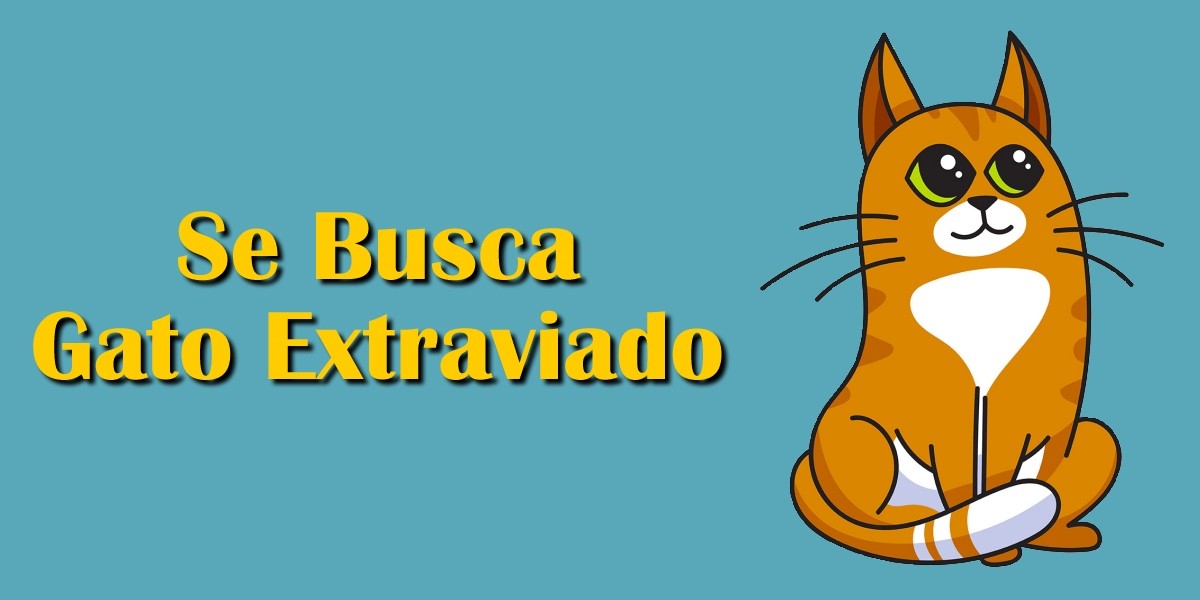 2021-06-11 Ayuda: Se Busca, Gato Extraviado