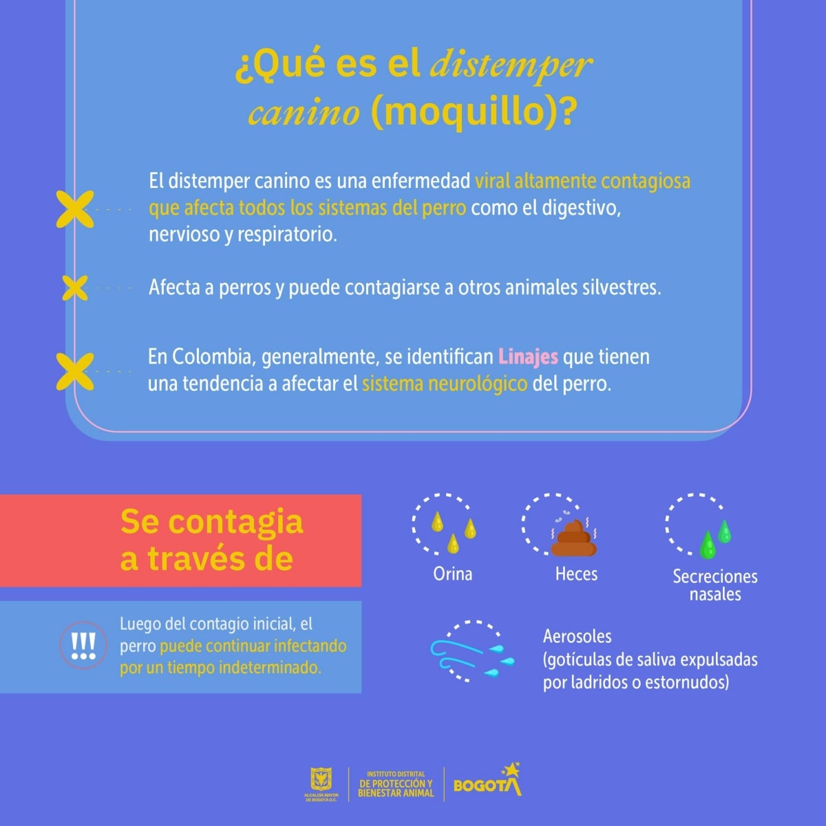 27-07-2022, Noticia: Brote de Moquillo / Distemper Canino en Bogotá