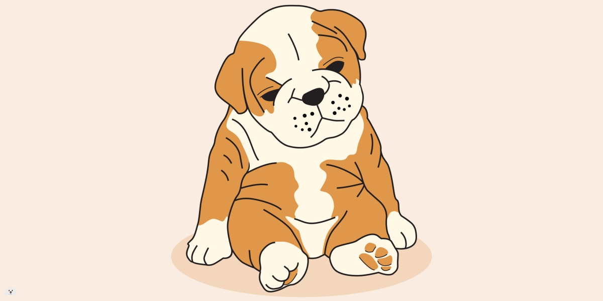 04-10-2022, Comunicado: Tenencia Irresponsable de Mascotas