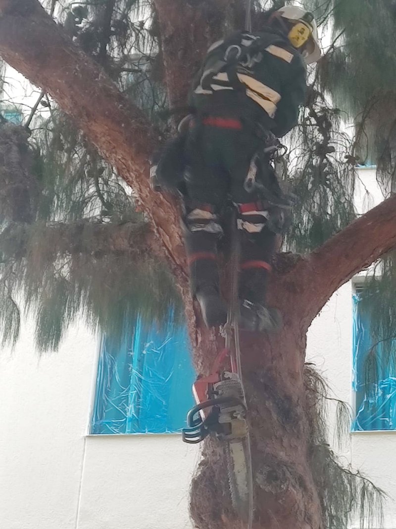 2024-04-14, Comunicado Proyecto de pintura de fachadas Avances