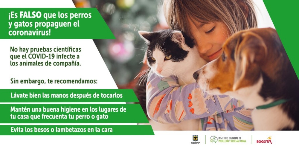 Coronavirus COVID-19: Sobre las mascotas