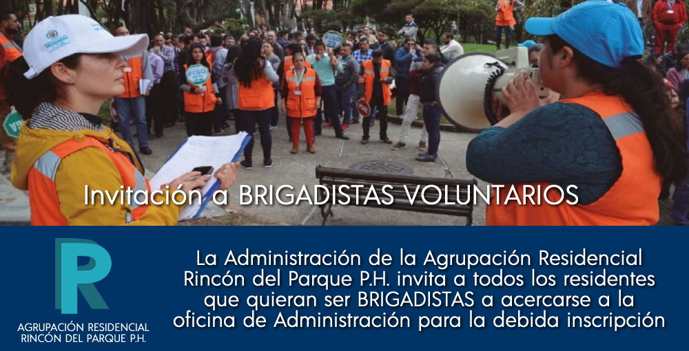 Brigadistas Voluntarios